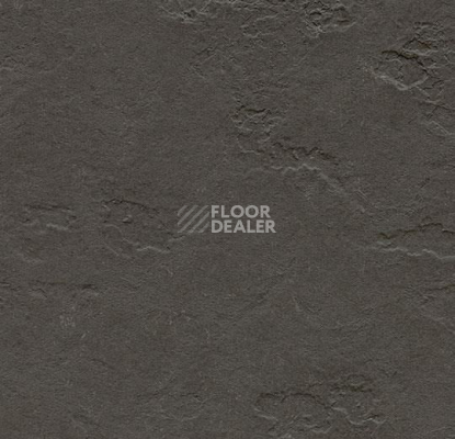 Линолеум Forbo Marmoleum Decibel on Order e370735 highland black фото 1 | FLOORDEALER